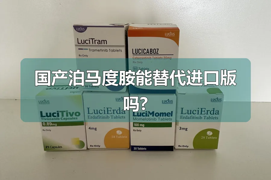 国产泊马度胺能替代进口版吗?